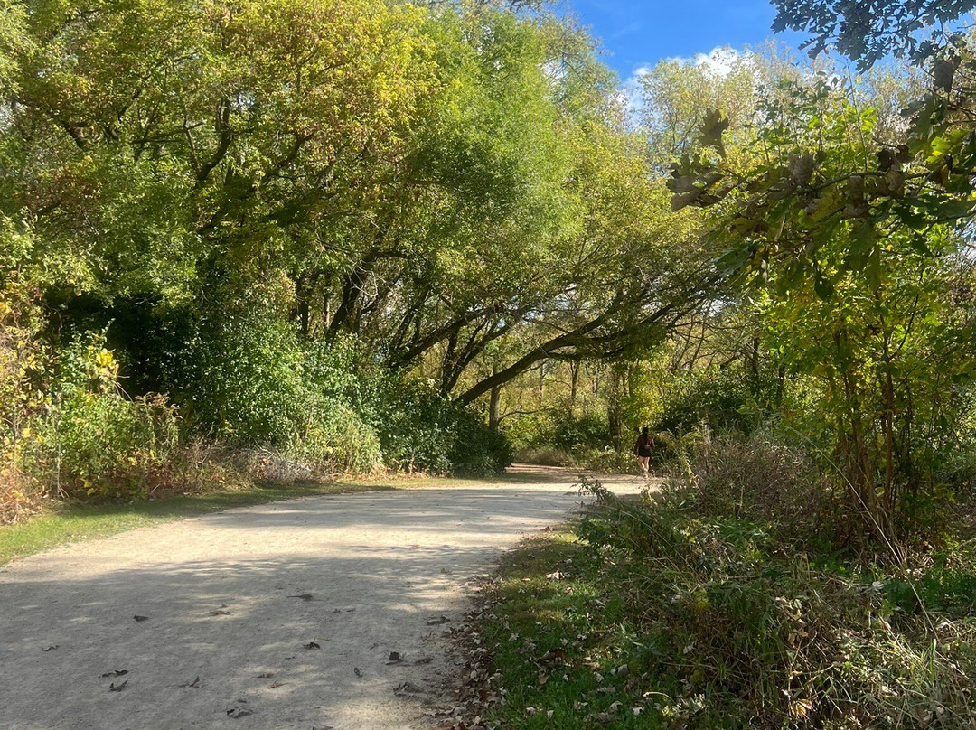 Van Patten Woods Forest Preserve-Wadsworth必去景点
