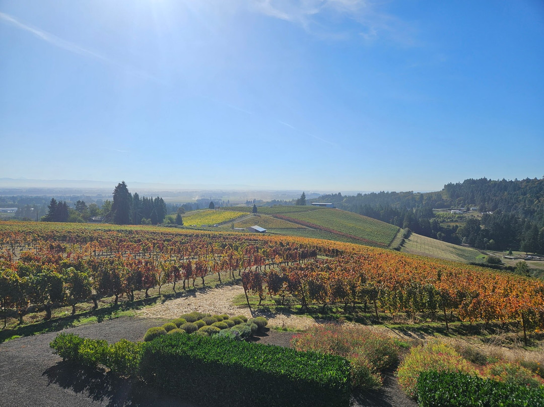 Winderlea Vineyard and Winery-Dundee必去景点