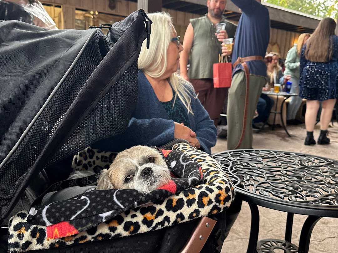 Amethyst Inn Bed & Breakfast主图