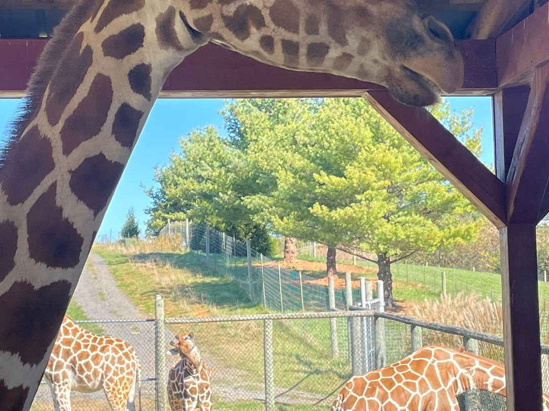 弗吉尼亚游猎公园-天然桥必去景点