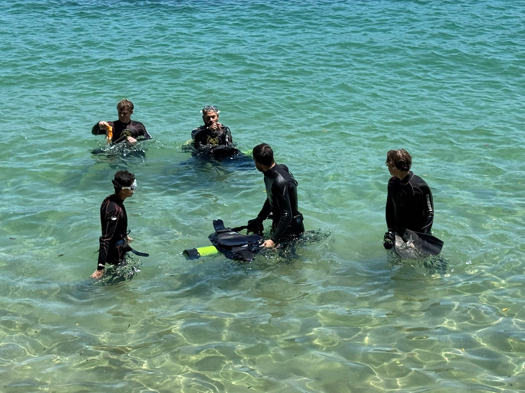 Paraíso das Tartarugas-Bombinhas必去景点