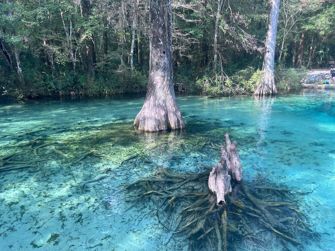 Ponce de Leon Springs State Park-Ponce de Leon必去景点