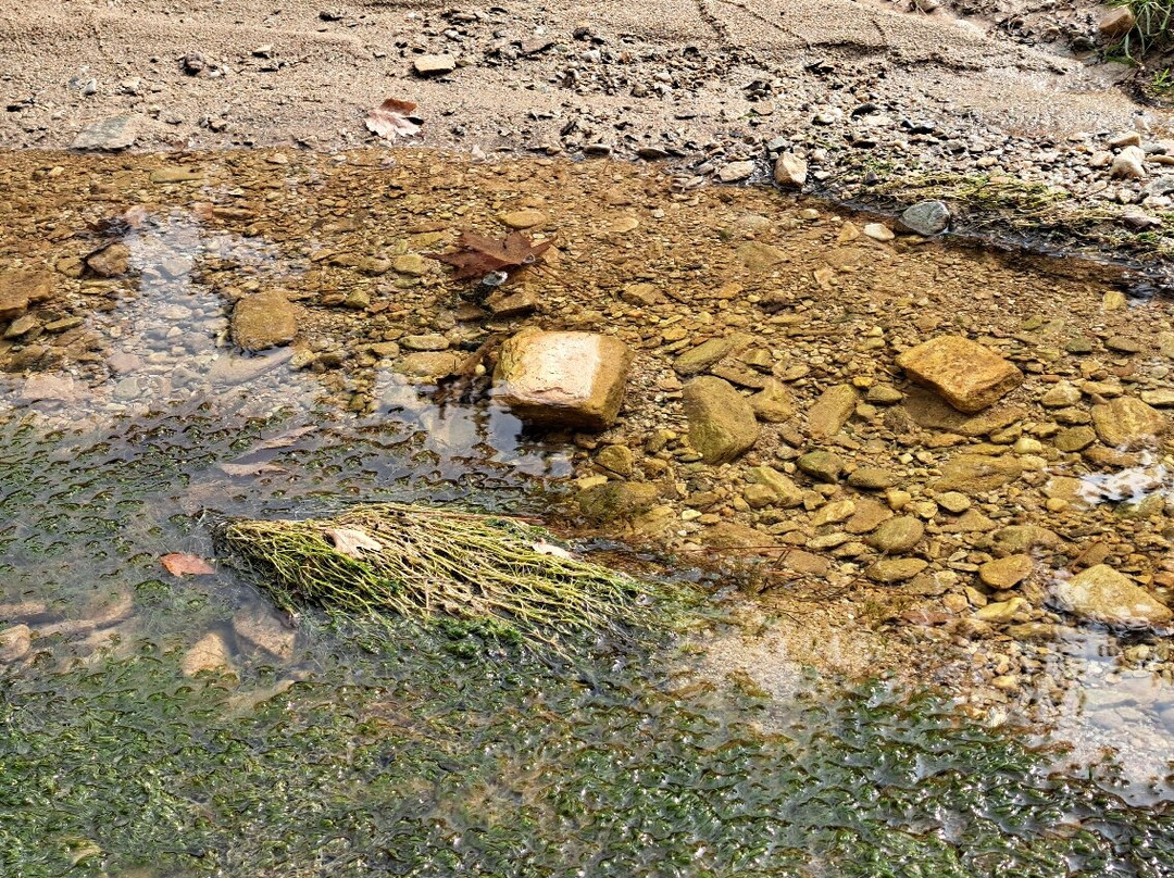 Lake Marion-Thassos Town (Limenas)必去景点