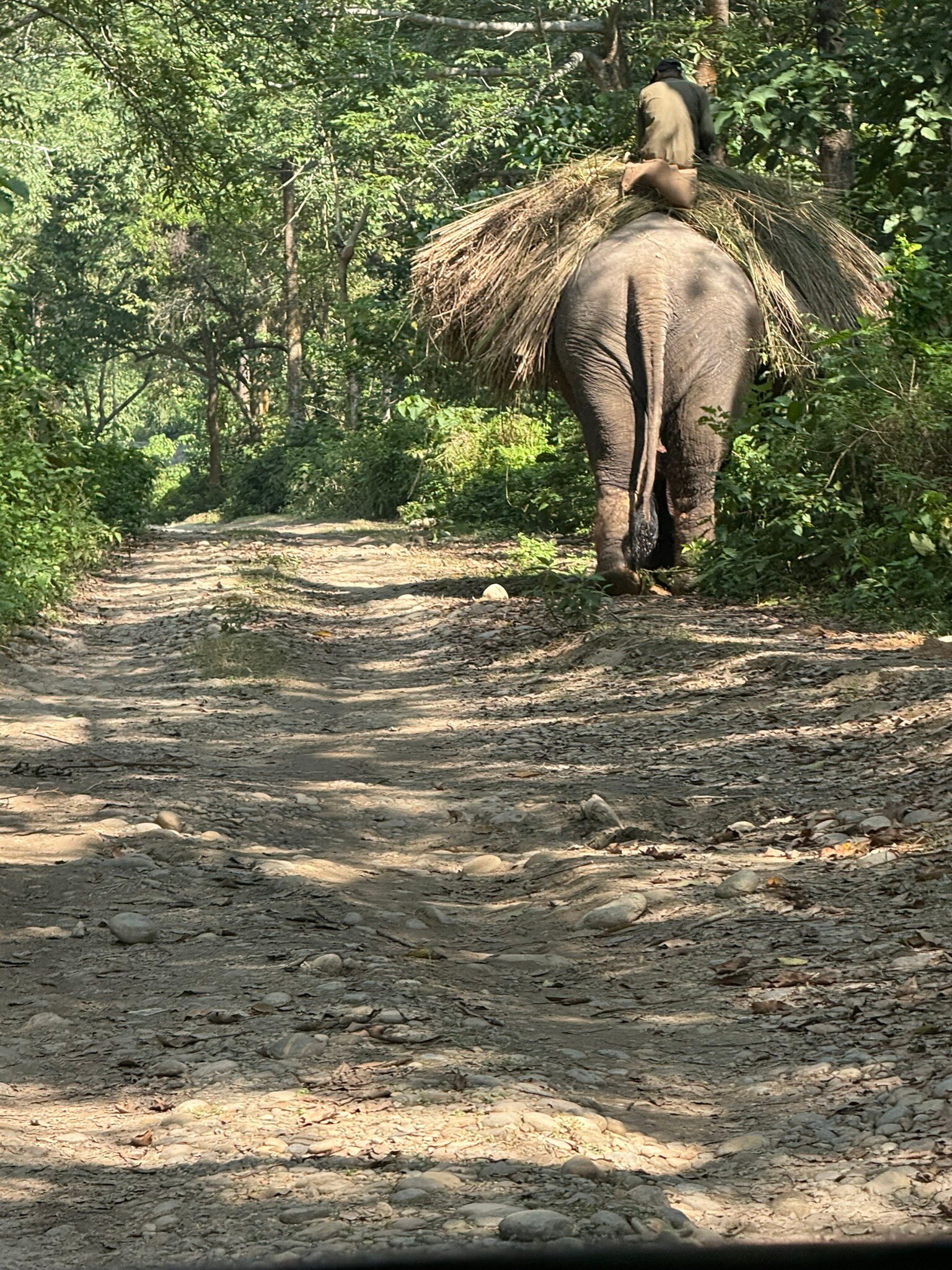 Soaltee Westend Resort Chitwan-官方