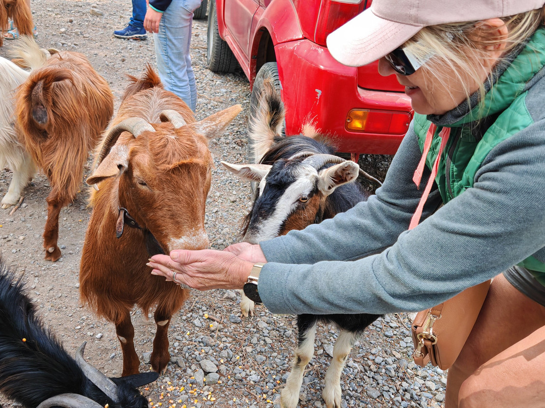Safari Fun-Ierapetra必去景点