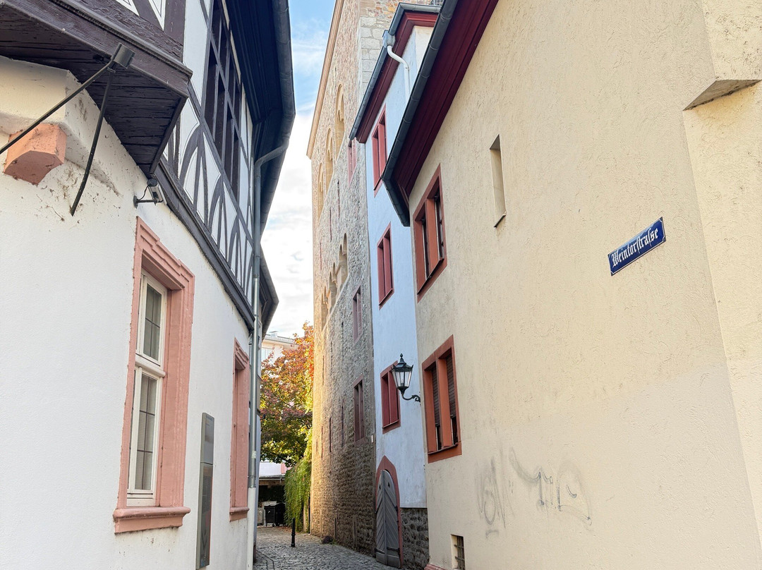 Best Of Mainz | Stadtführungen & Mehr-美因茨必去景点