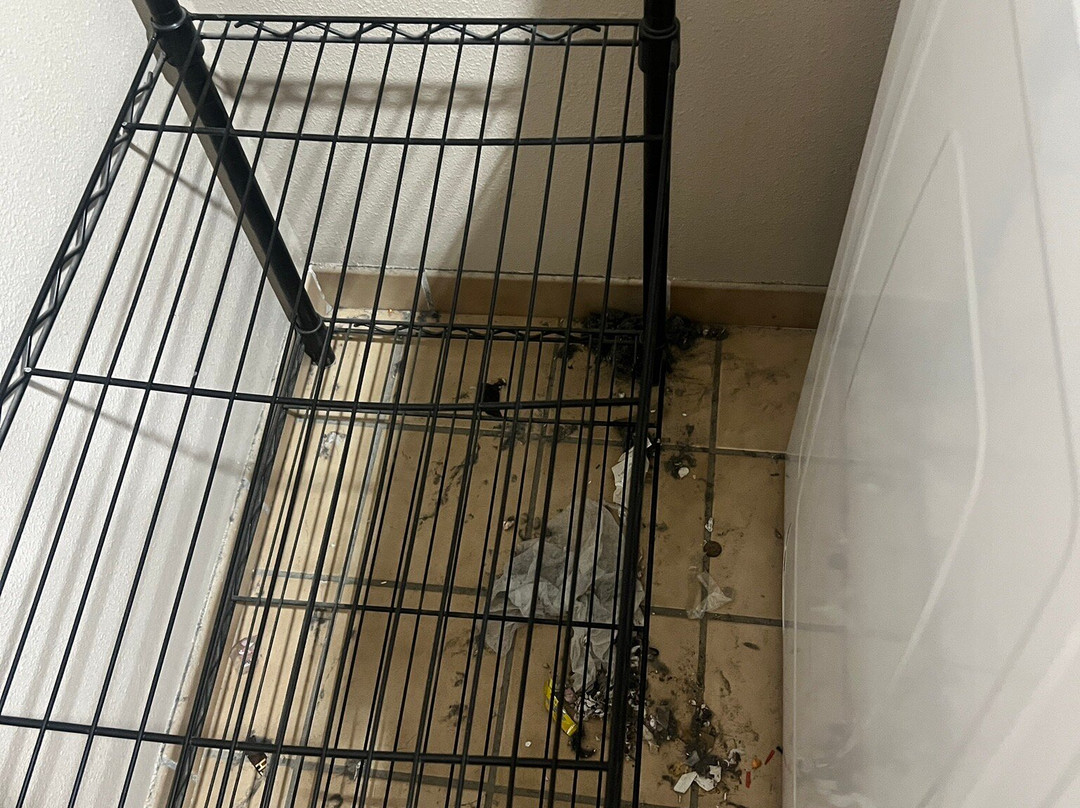 富尔顿快捷假日酒店主图