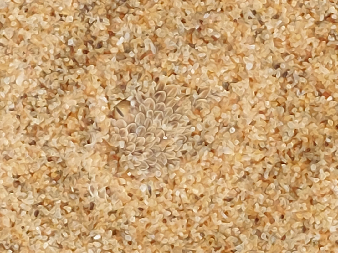 Tommy's Tours and Safaris-斯瓦科普蒙德必去景点