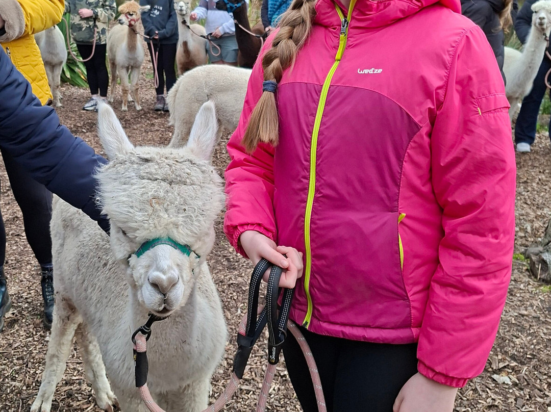 Nanny Sharon's Alpaca Farm C.I.C-Prenton必去景点