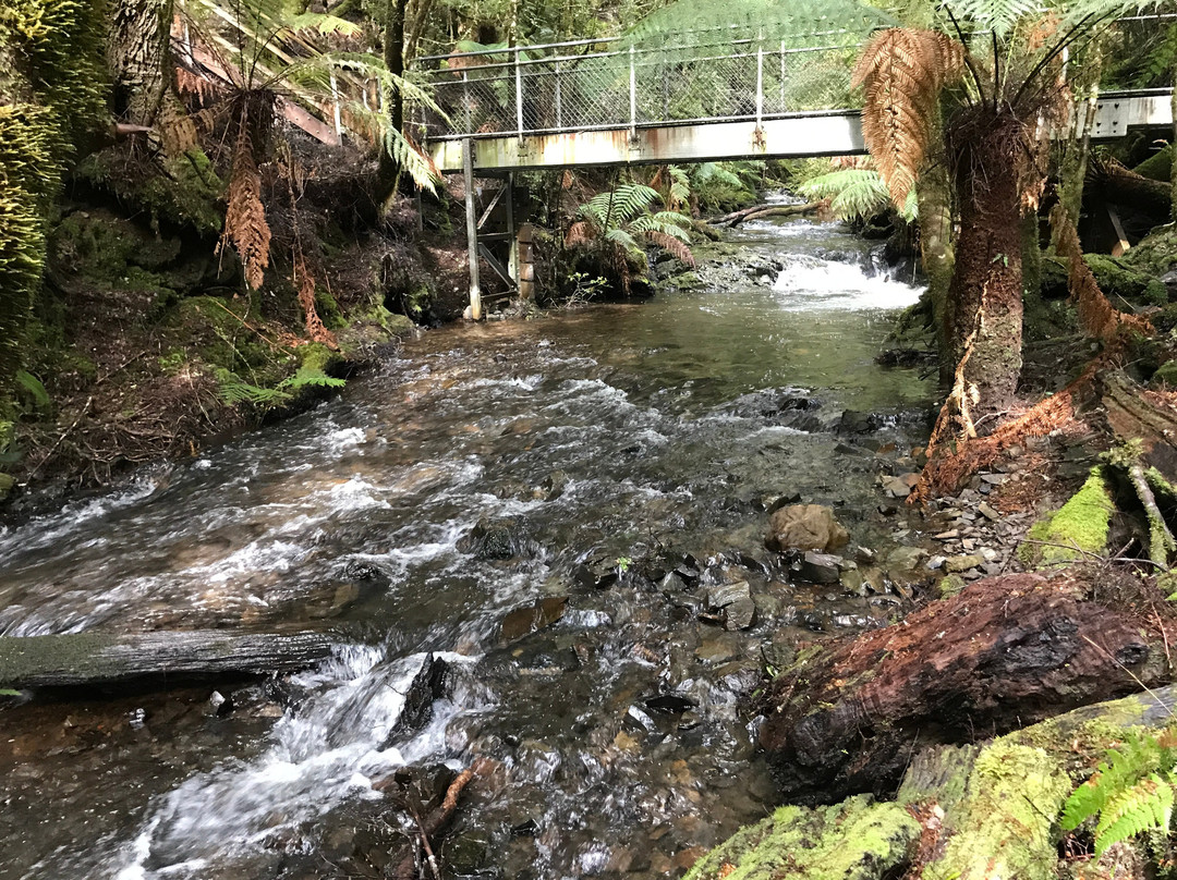 Philosopher Falls-Waratah必去景点