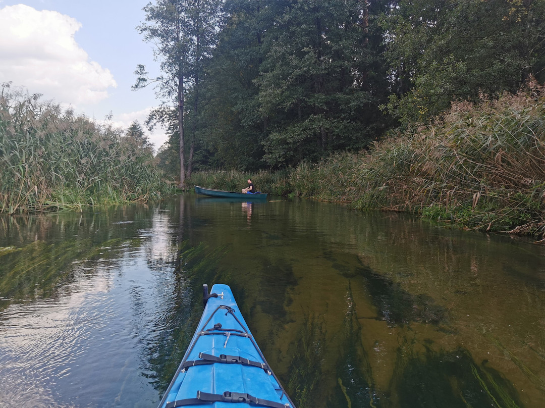As Tours - Kayak Expeditions & Rental-Krutyn必去景点