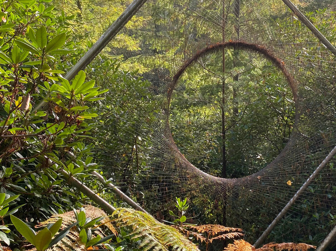 The Sculpture Park-Churt必去景点