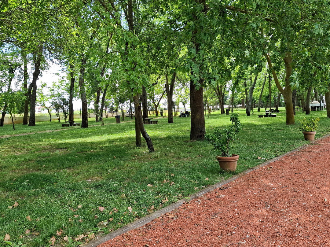 Parque do carril-Alpiarca必去景点