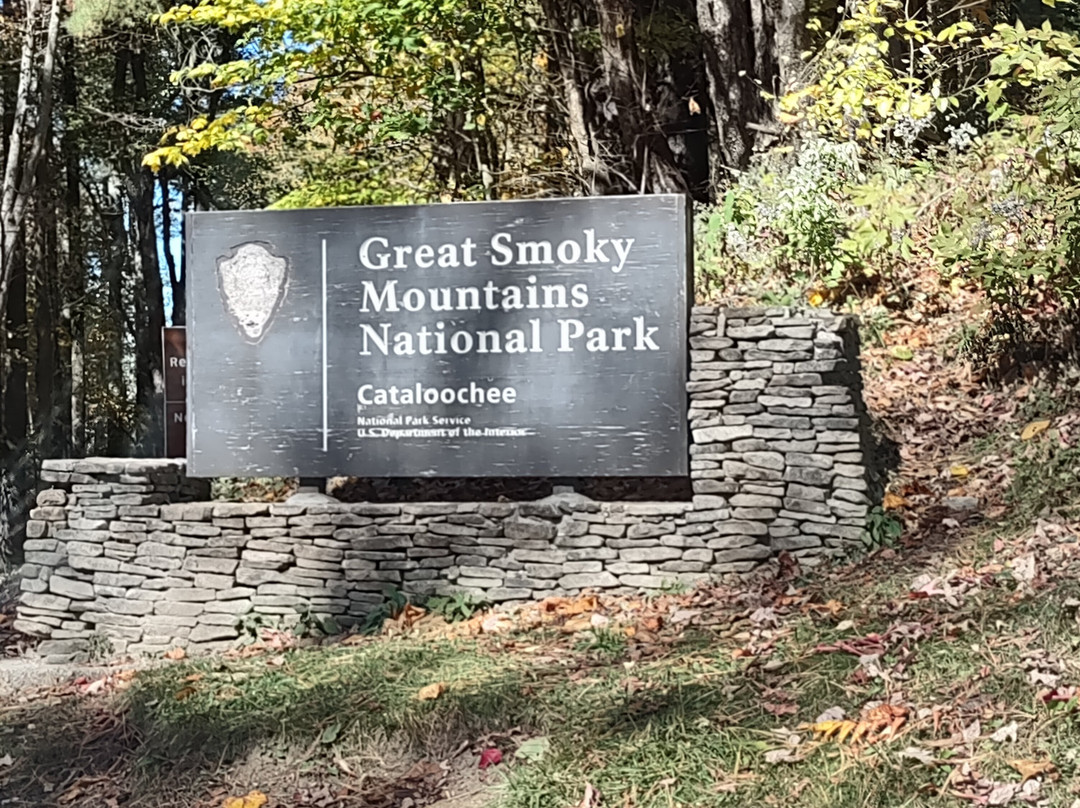 Cataloochee Valley-大雾山国家公园必去景点