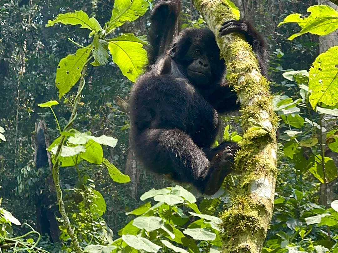 Buutu Safaris-金贾必去景点