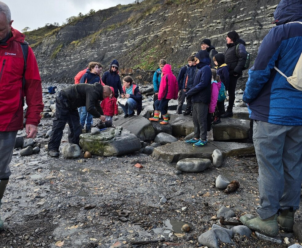 Lyme Regis Philpot Museum-莱姆里杰斯必去景点