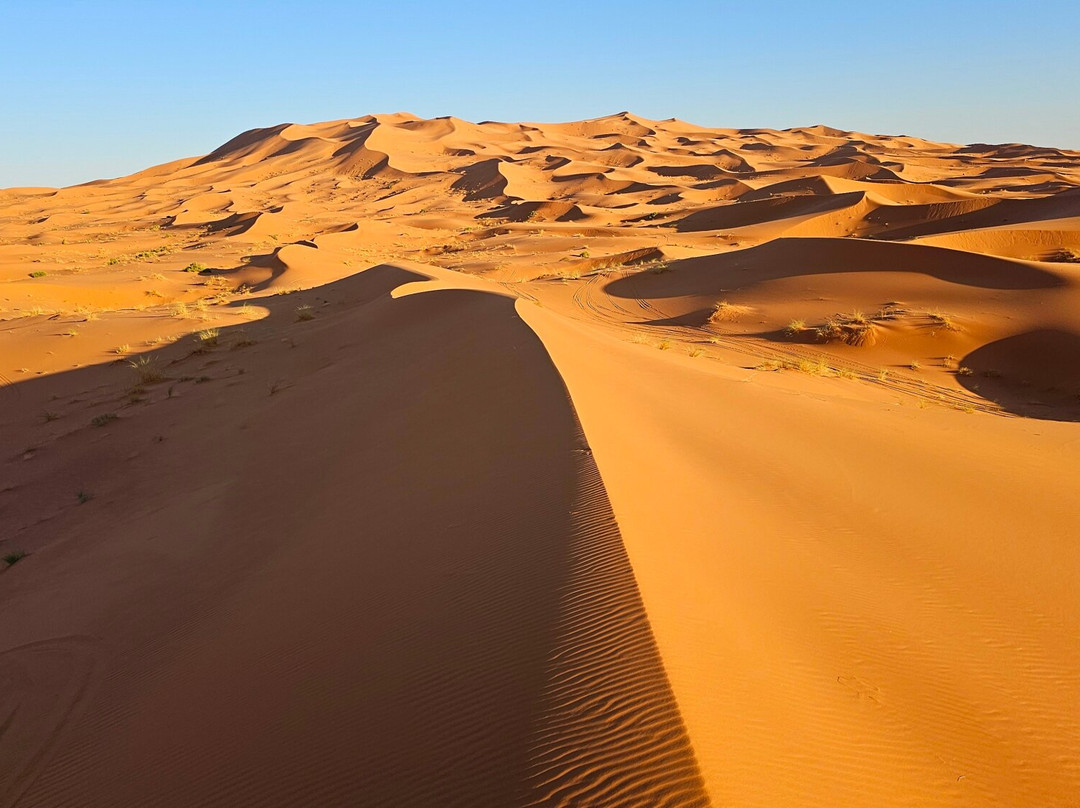 Camel Trekking-梅如卡必去景点