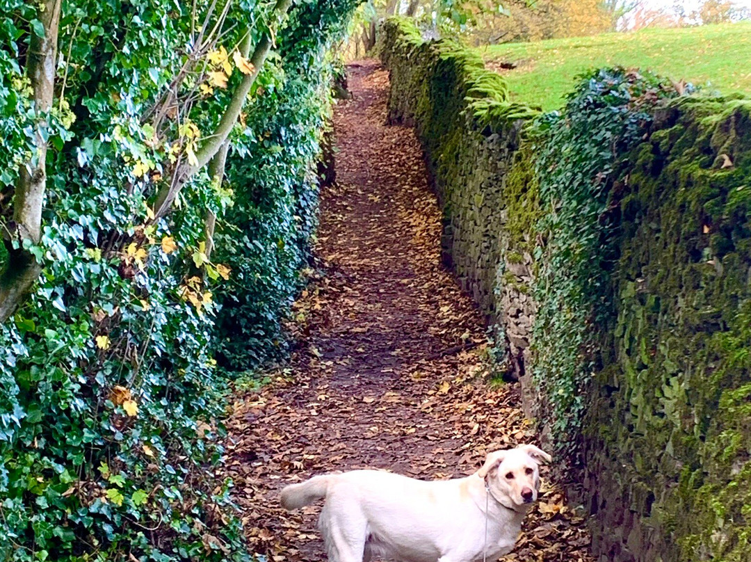 Skipton Castle Woods-斯基普顿必去景点