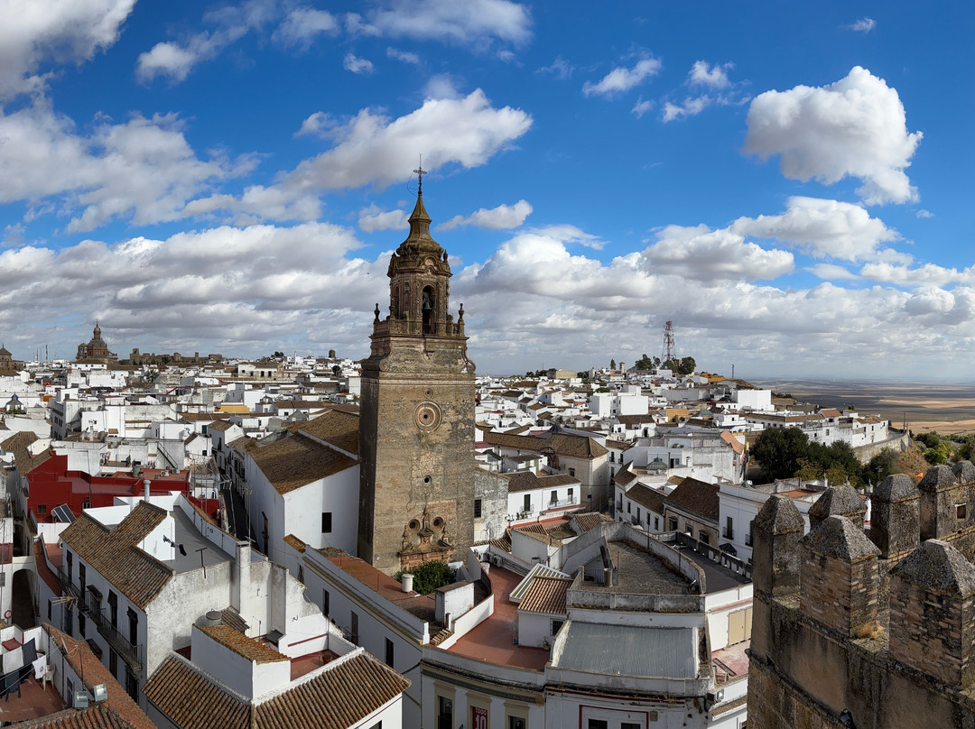 Alcazar de la Puerta de Sevilla-卡莫纳必去景点
