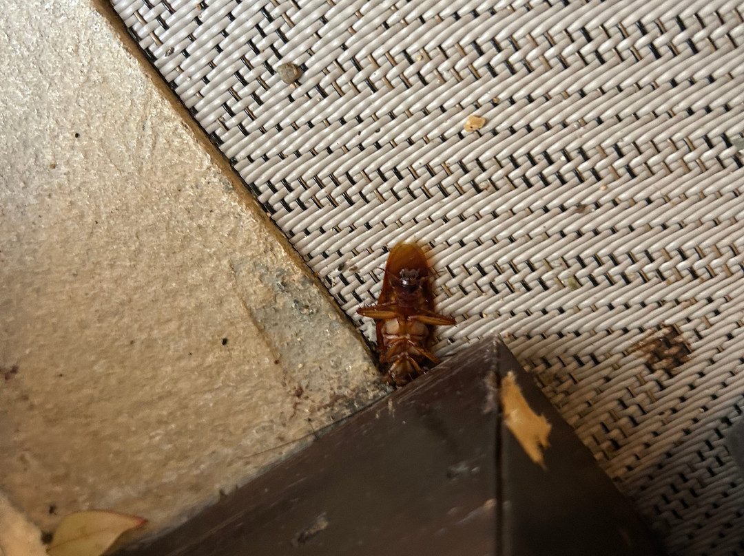 Hotel Inglaterra - Estoril主图