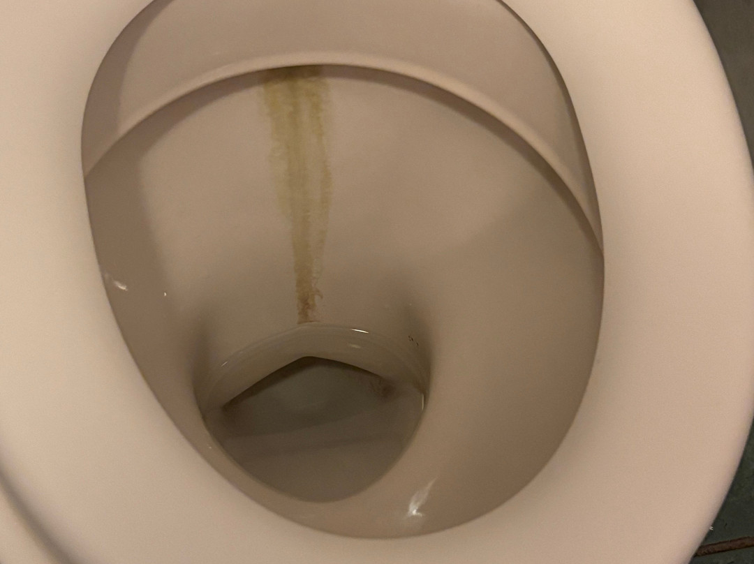 Hotel Restaurant Le Bourgneuf主图