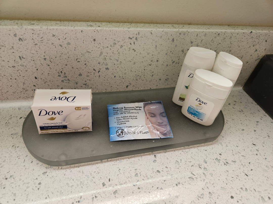 La Quinta Inn & Suites By Wyndham Columbus North主图