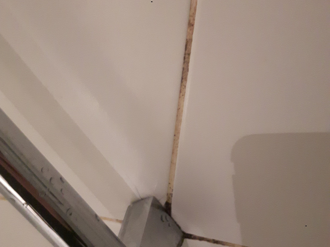 考夫豪斯阿尔特斯酒店主图