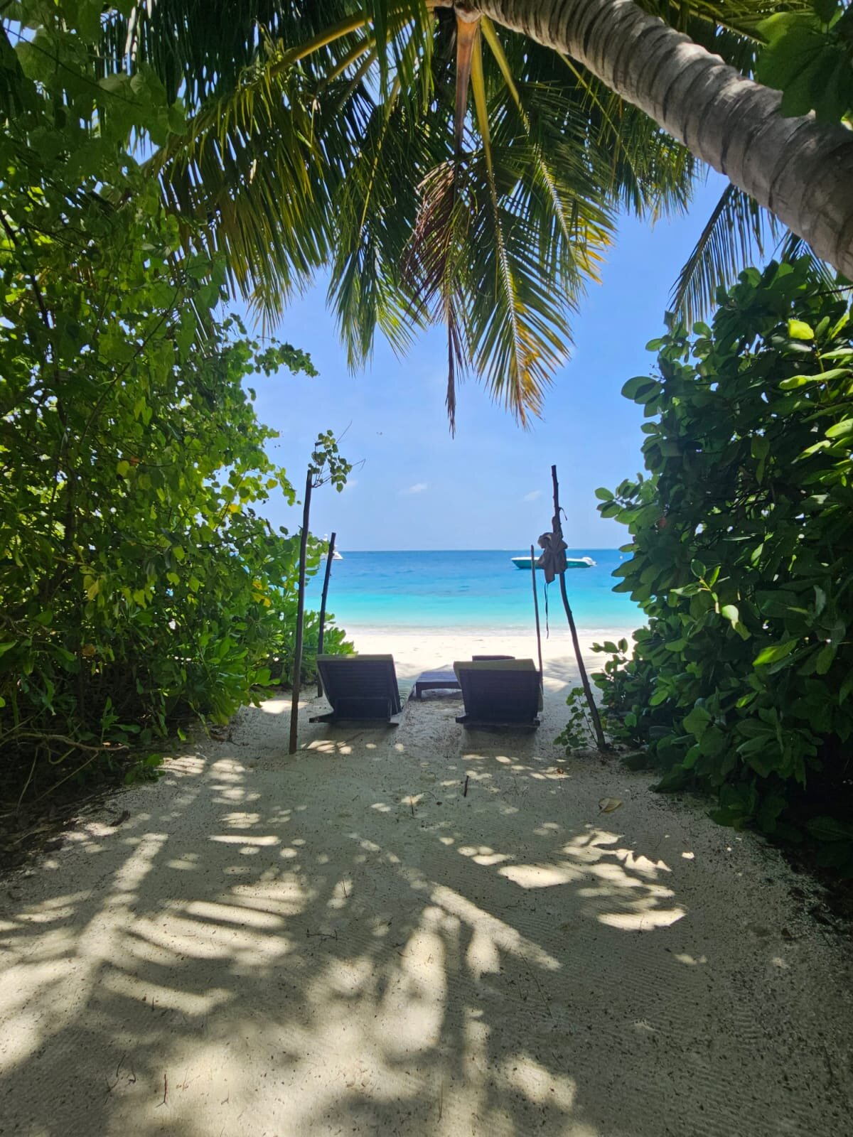 波杜希蒂岛度假村-泳池