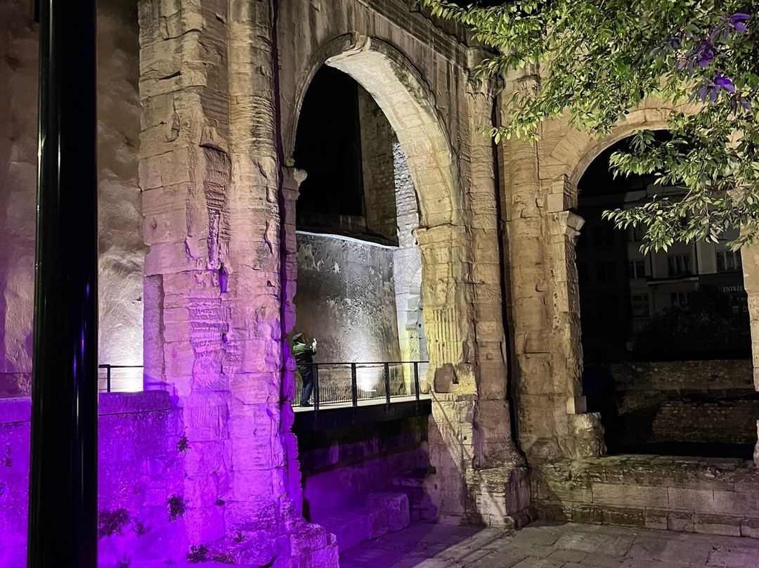 Cathédrale Saint-Maurice-维埃纳必去景点