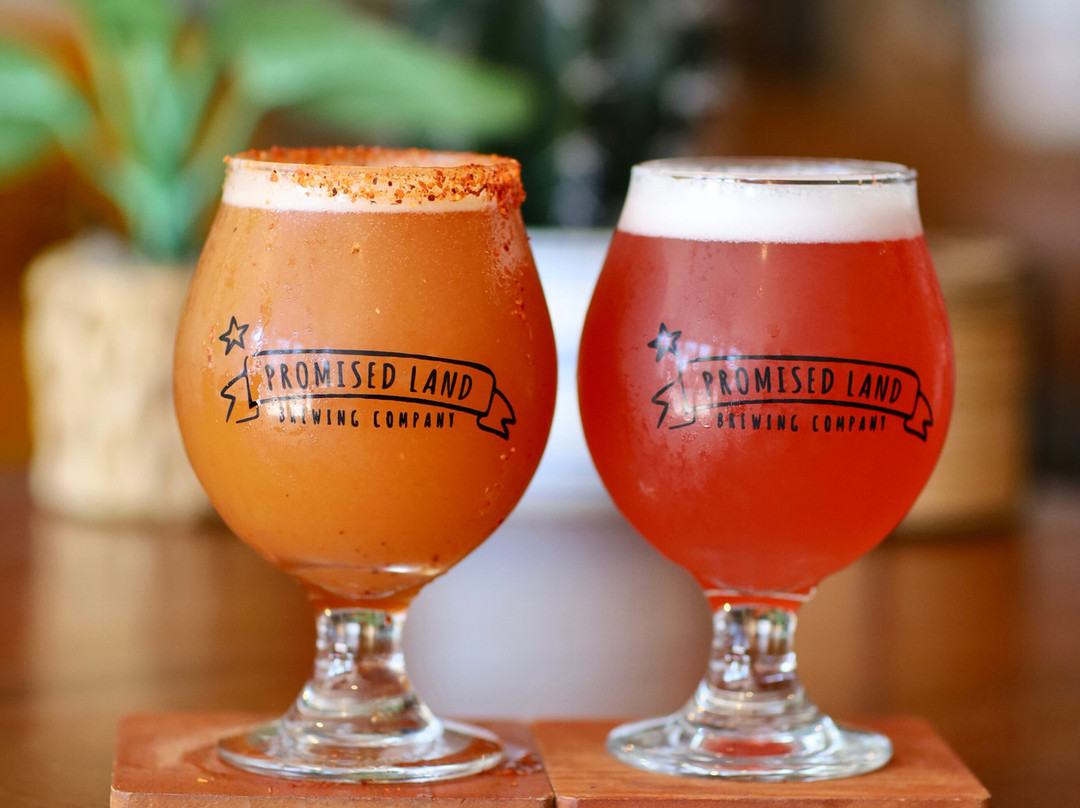 Promised Land Brewing Company-吉尔罗伊必去景点