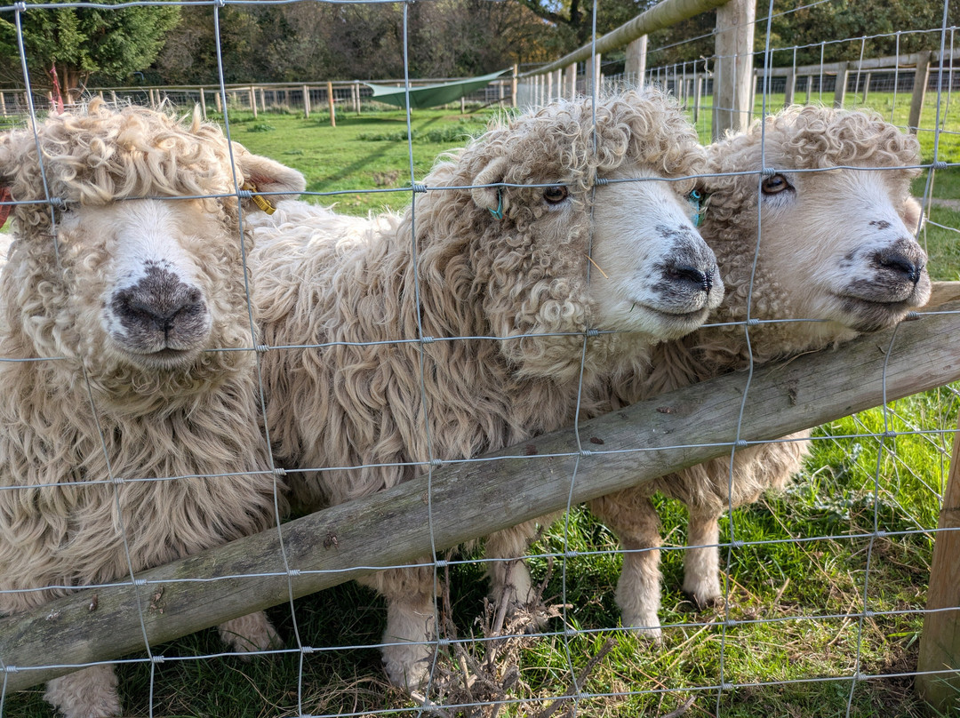 Woodgate Valley Country Park-伯明翰必去景点