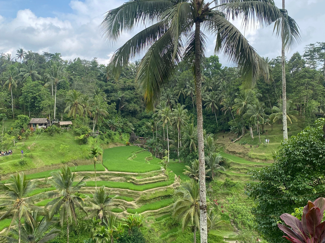 Team Bali Tour-努沙杜瓦必去景点