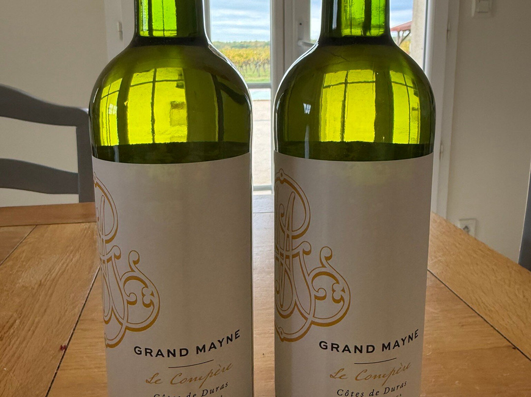 Domaine du Grand Mayne-Villeneuve-de-Duras必去景点