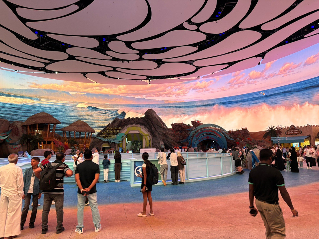 SeaWorld Yas Island Abu Dhabi-阿布扎比必去景点