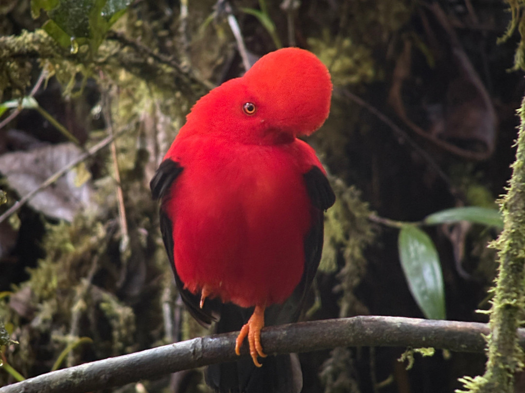 Costa Rica Focus-圣何塞必去景点