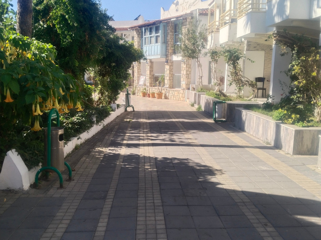 Historic Bardakci Hammam-博德鲁姆必去景点