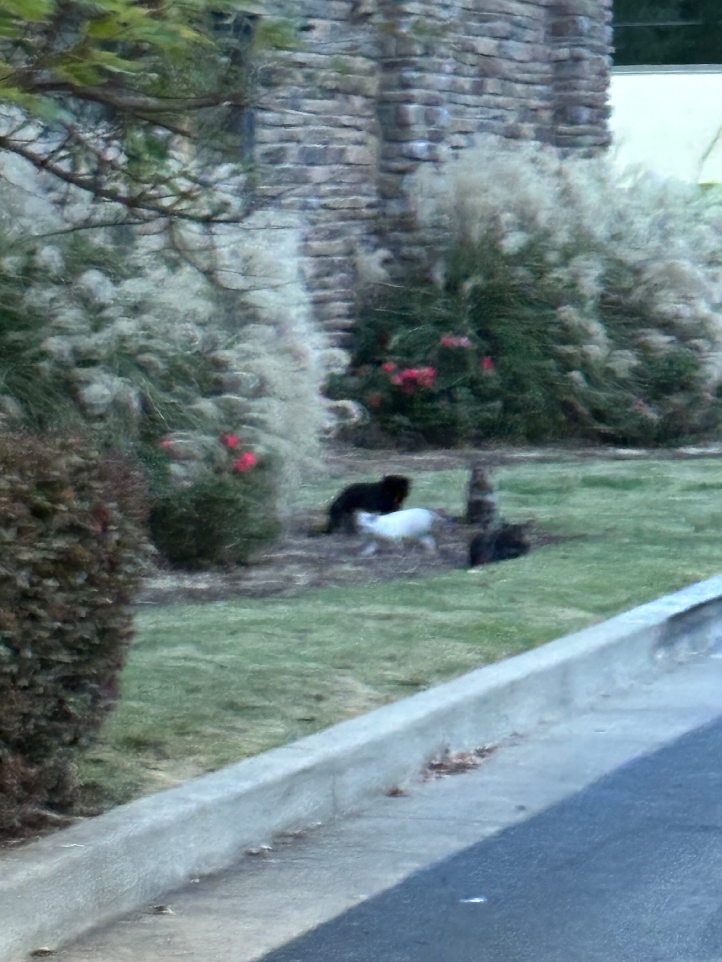 Hampton Inn Lagrange Near Callaway Gardens-浴室