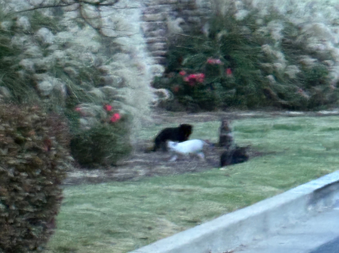 Hampton Inn Lagrange Near Callaway Gardens主图