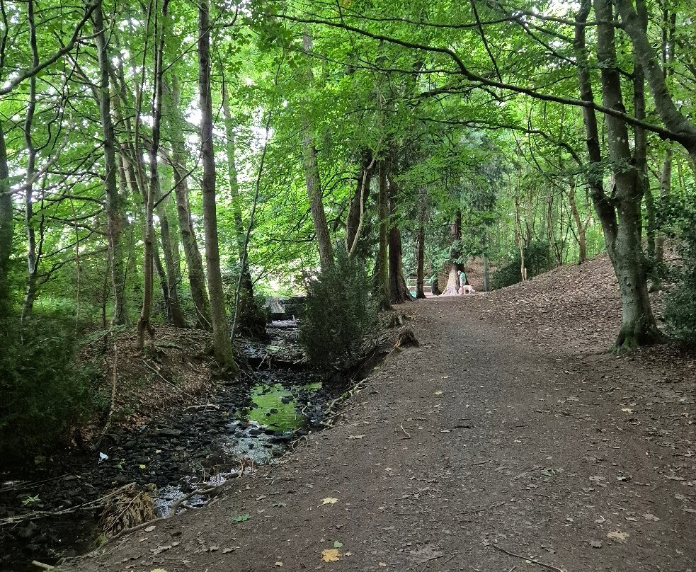 Gala Policies Community Woodland-Galashiels必去景点