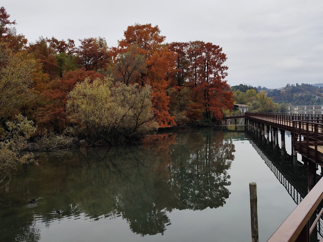 Parco dei TAXODI-Paratico必去景点