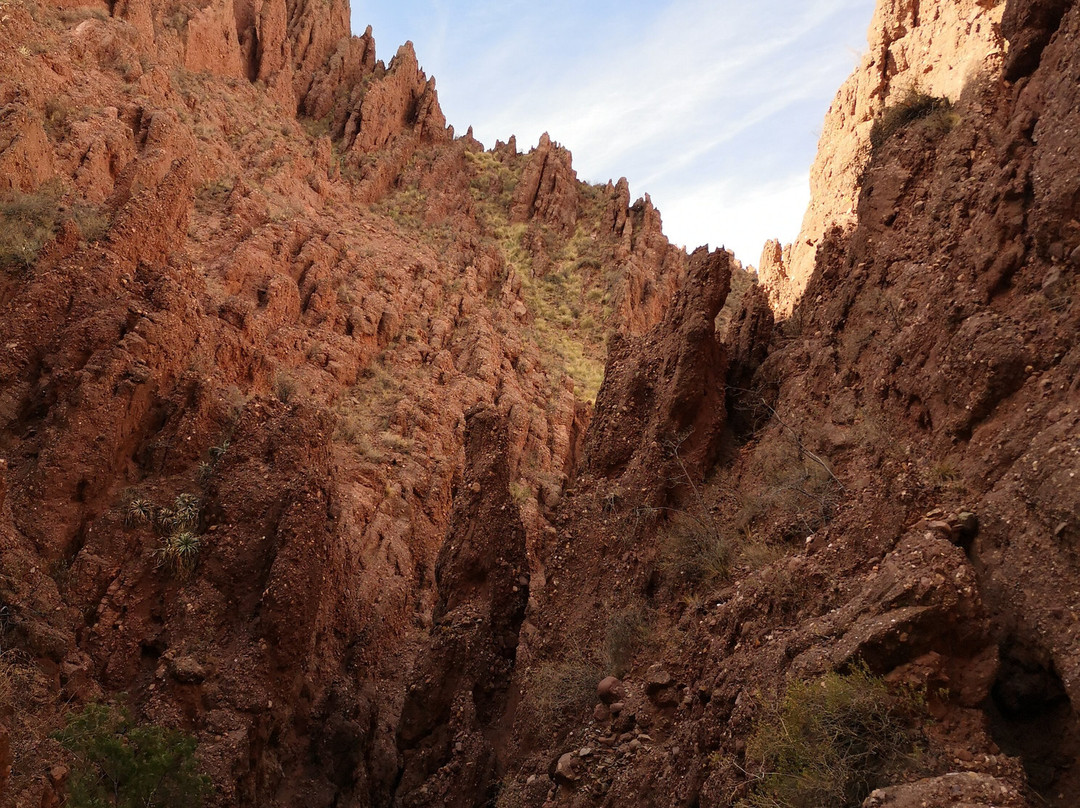 Green Planet Etno Eco Travel-Tupiza必去景点