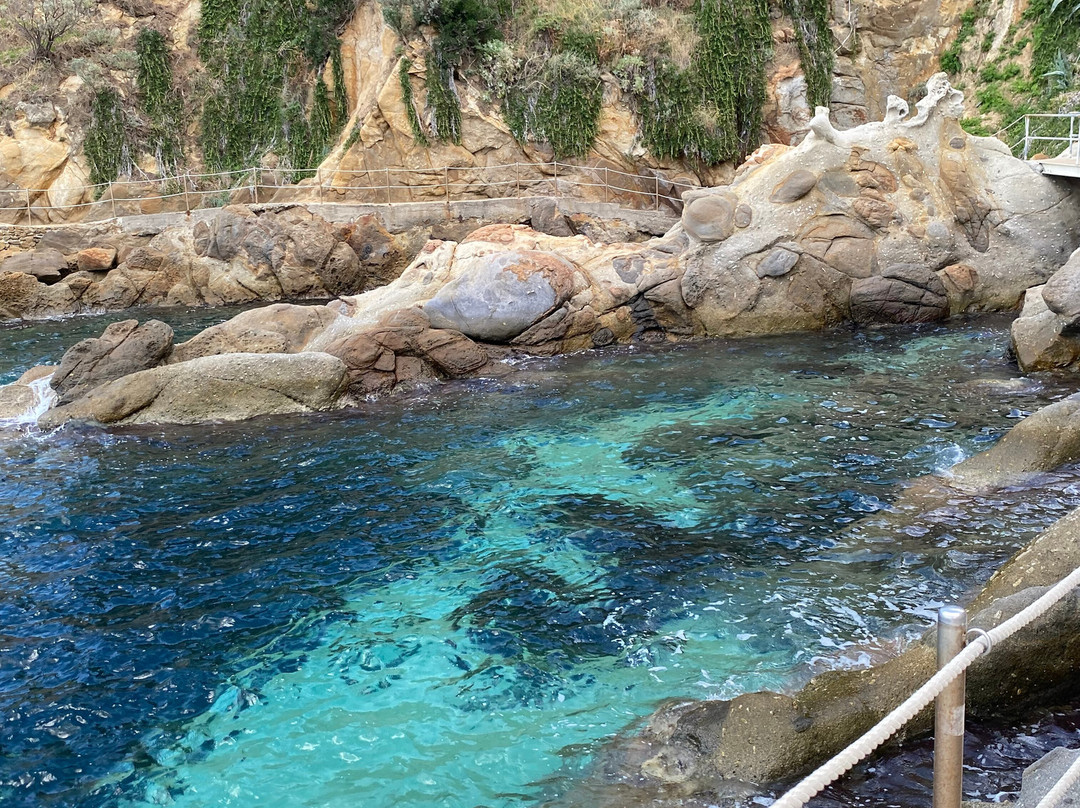 Hotel Gallo Nero主图