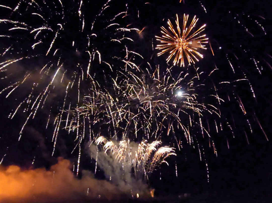 Apley Farm Shop-Norton必去景点