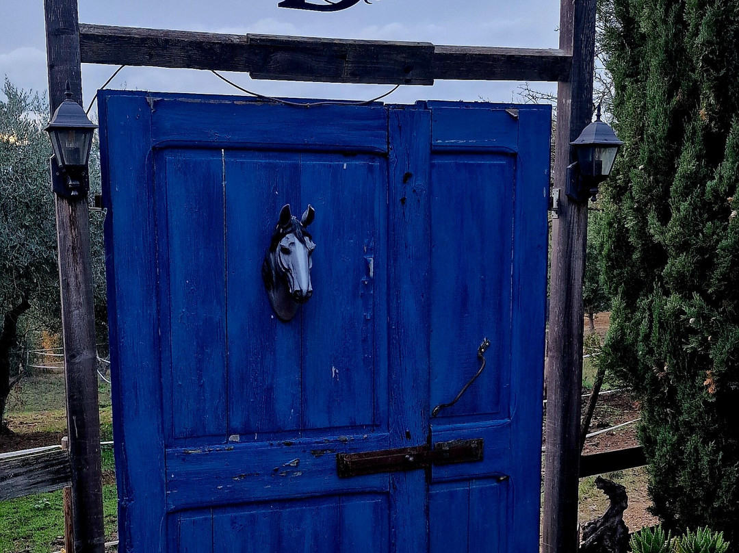 La Bandita Country Hotel主图