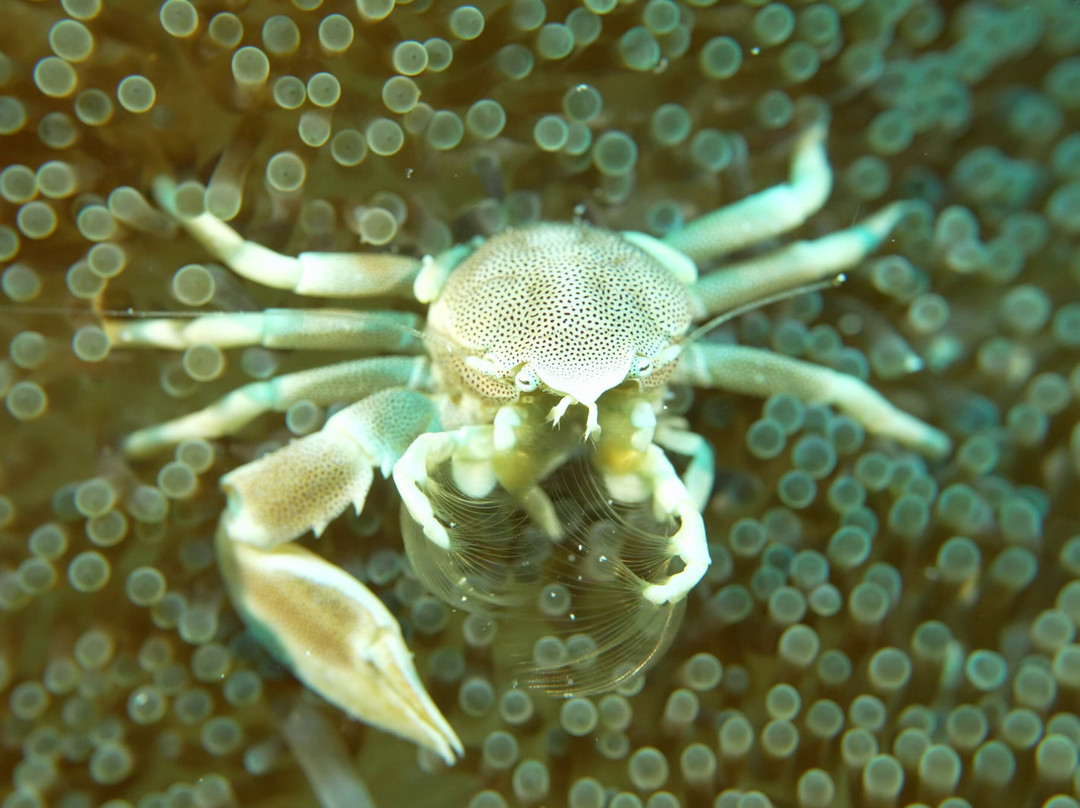 岗嘎岛度假村主图
