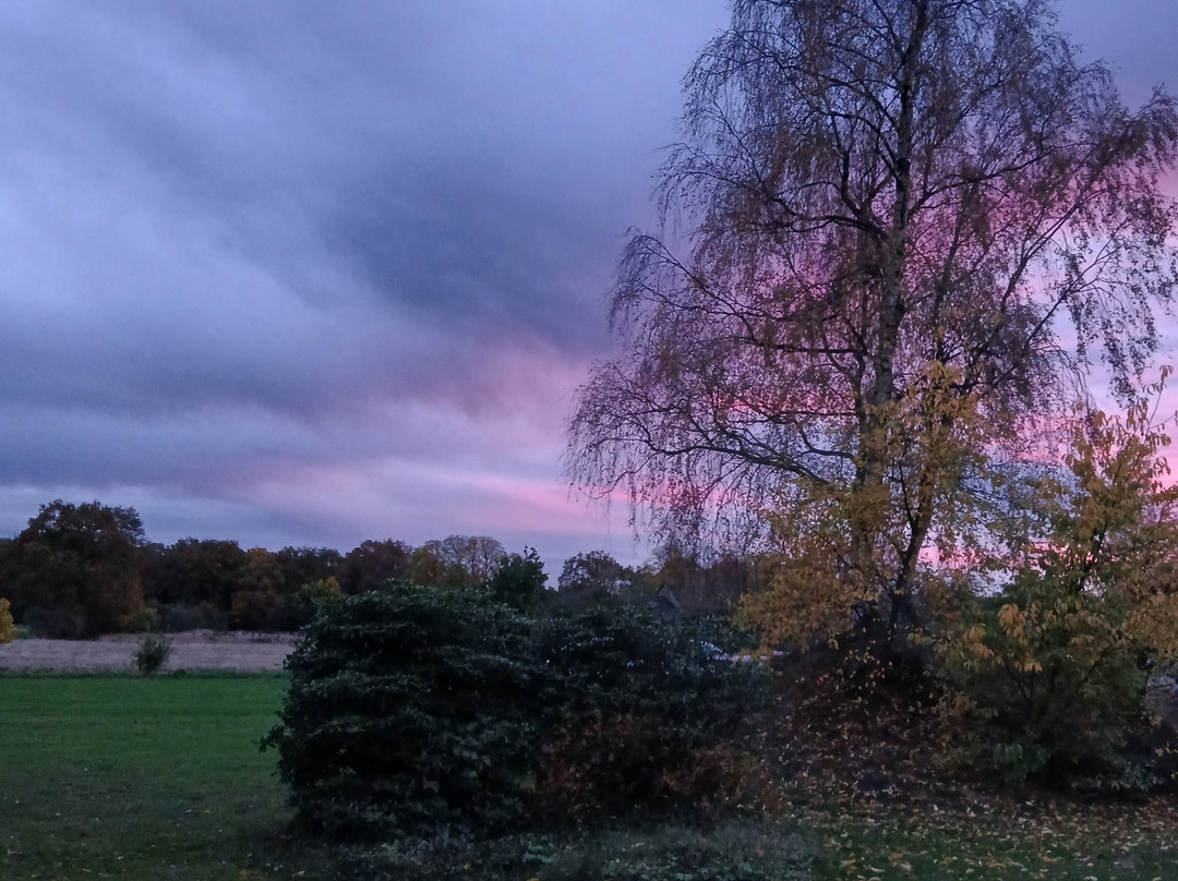 Fletcher Hotel Restaurant De Zeegser Duinen主图