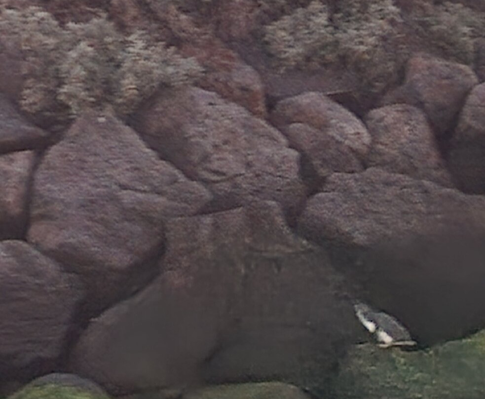 St Kilda Ferry-圣基尔达必去景点