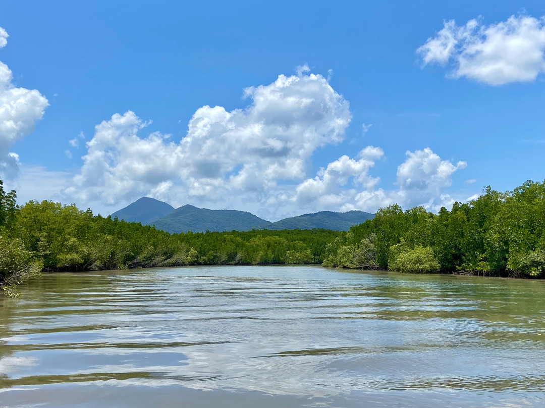 Paradise Sport Fishing Adventures-凯恩斯必去景点
