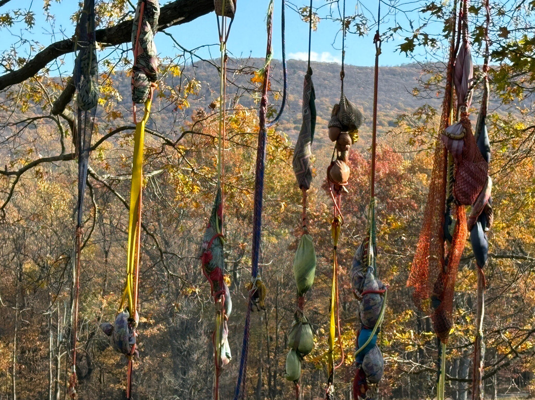 Storm King Art Center-New Windsor必去景点