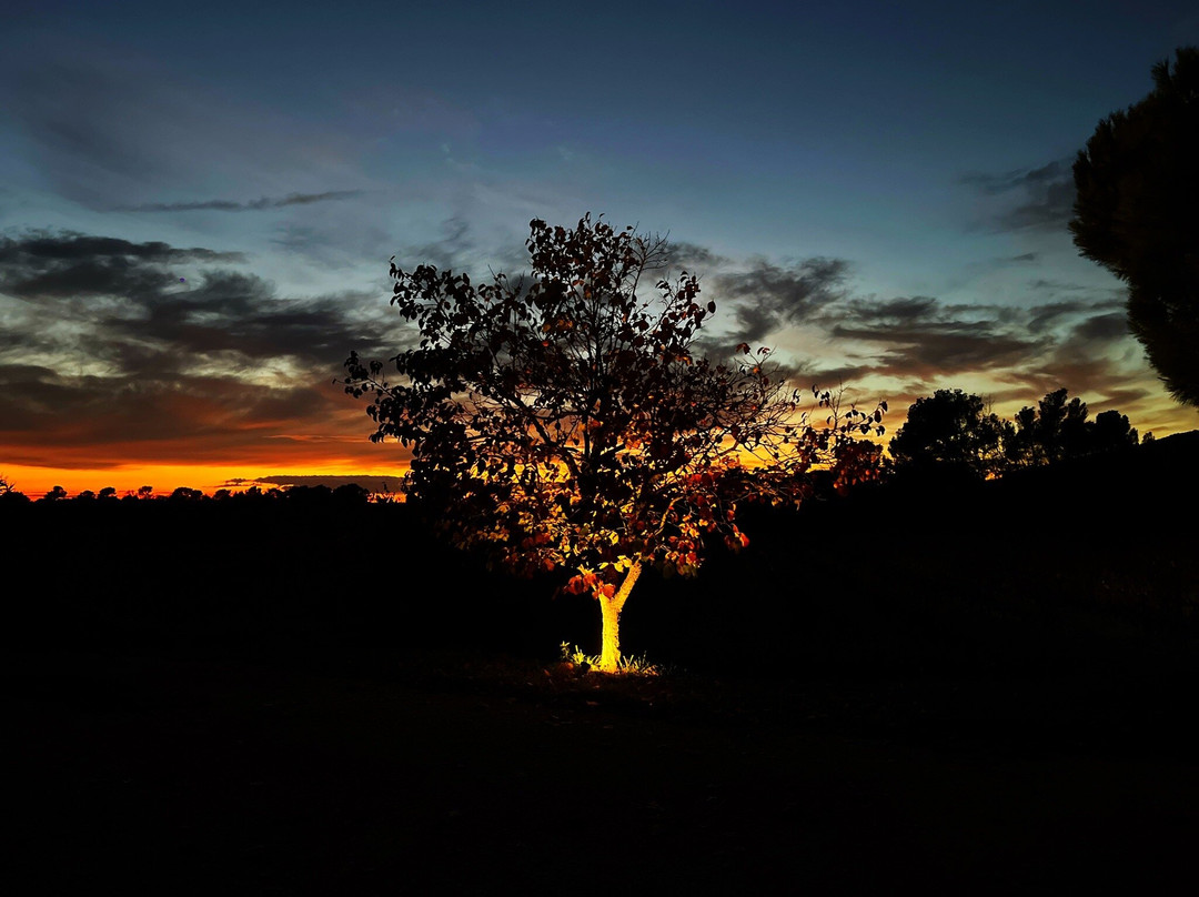 Le Clos Saint Saourde & SPA主图